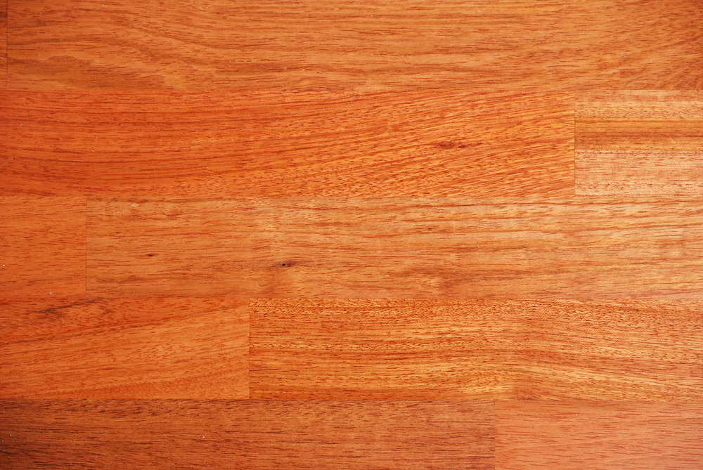 Les caractéristiques du jatoba pour son parquet