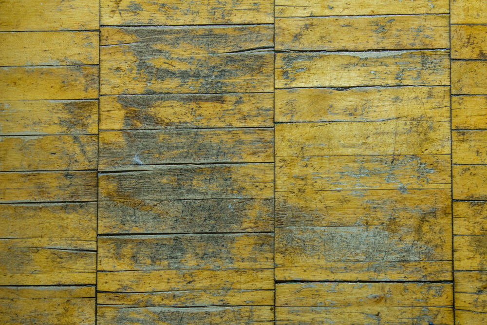 Parquet qui grince