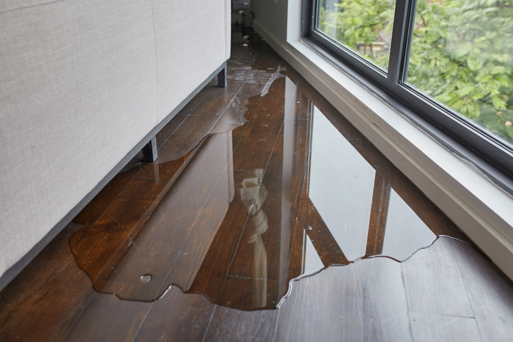 Que faire en cas de dégât des eaux sur un parquet